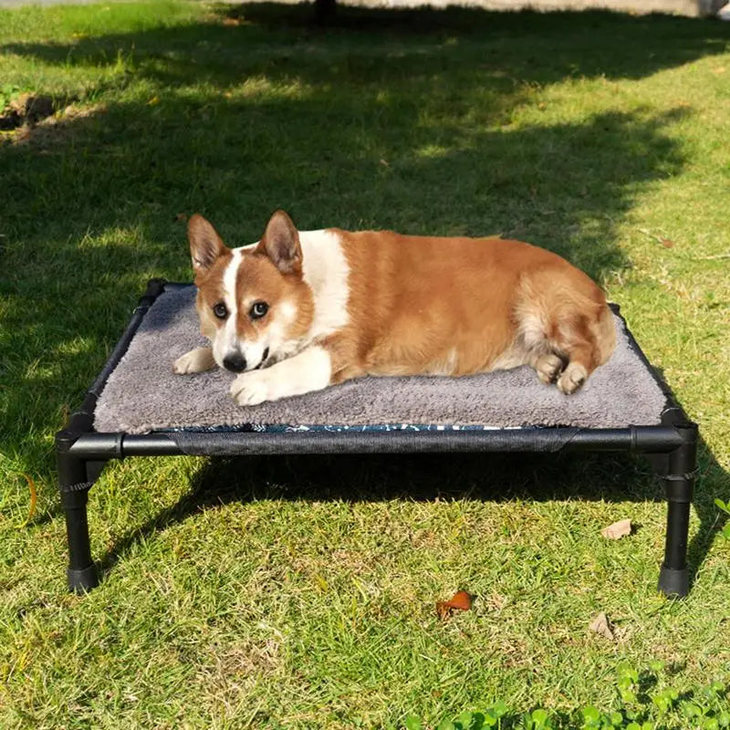Outdoor Elevated Dog Bed With Foldable Removable Canopy Shade Tent