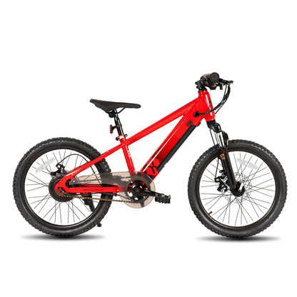Electric Bike for Kids 250W Motor, Mountain Bicycle Safe