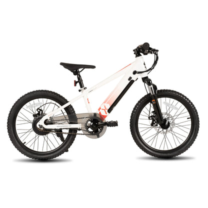 Electric Bike for Kids 250W Motor, Mountain Bicycle Safe