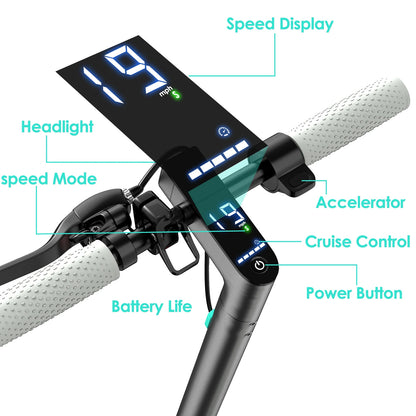 350W Motor Electric Scooter 8.5'' Solid Tire 19MPH