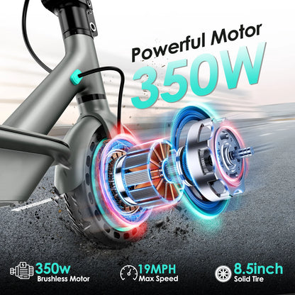 350W Motor Electric Scooter 8.5'' Solid Tire 19MPH