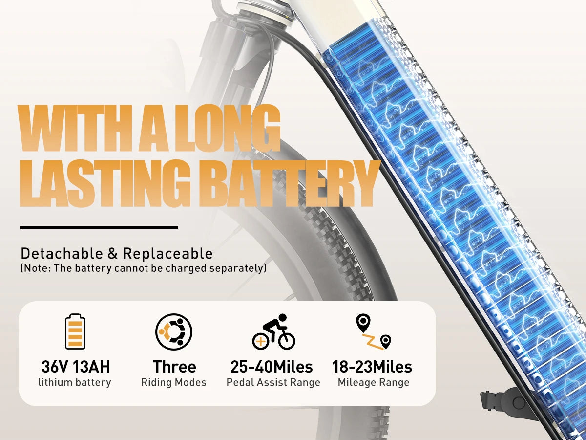 Electric Bike 400W Motor 24 Inch Tire