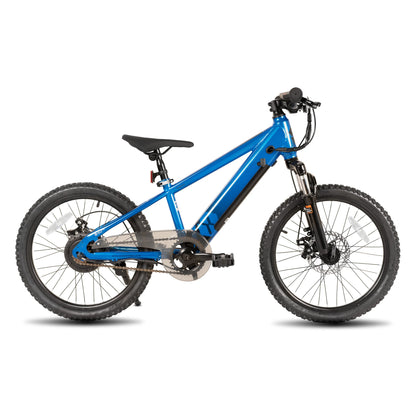Electric Bike for Kids 250W Motor, Mountain Bicycle Safe